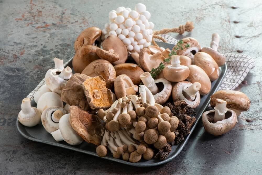 The Best Mushroom Supplements in the UK Right Now and What They Do