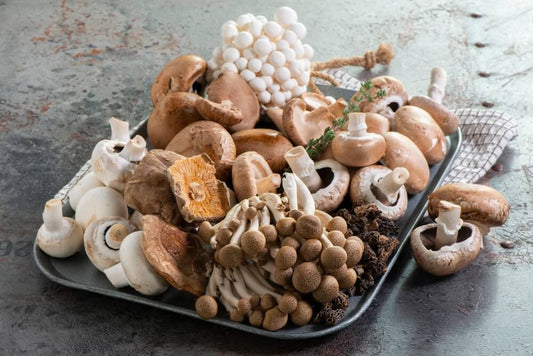 The Best Mushroom Supplements in the UK Right Now and What They Do