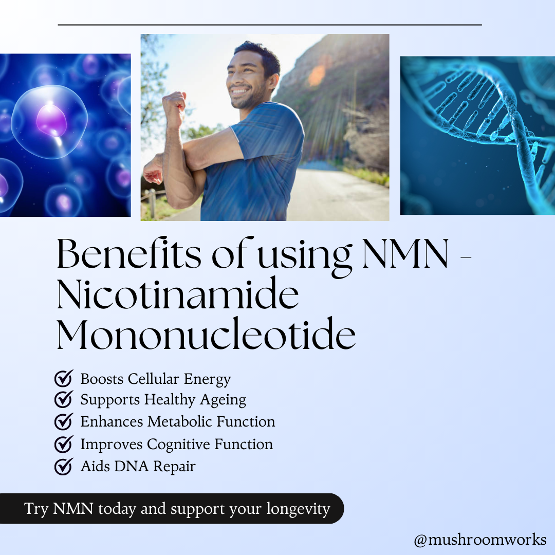 Pure NMN Supplement | High Purity