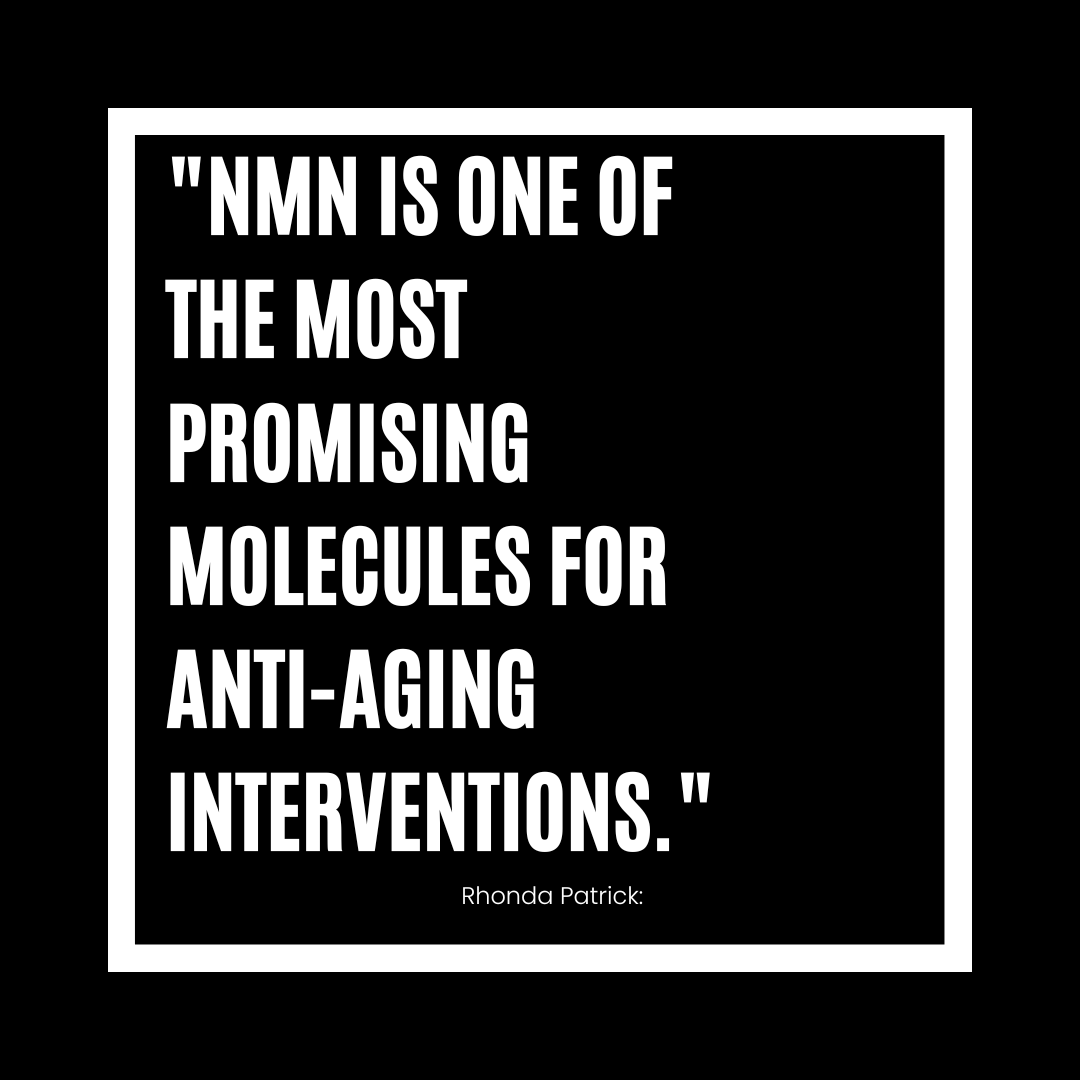 Pure NMN Supplement | High Purity