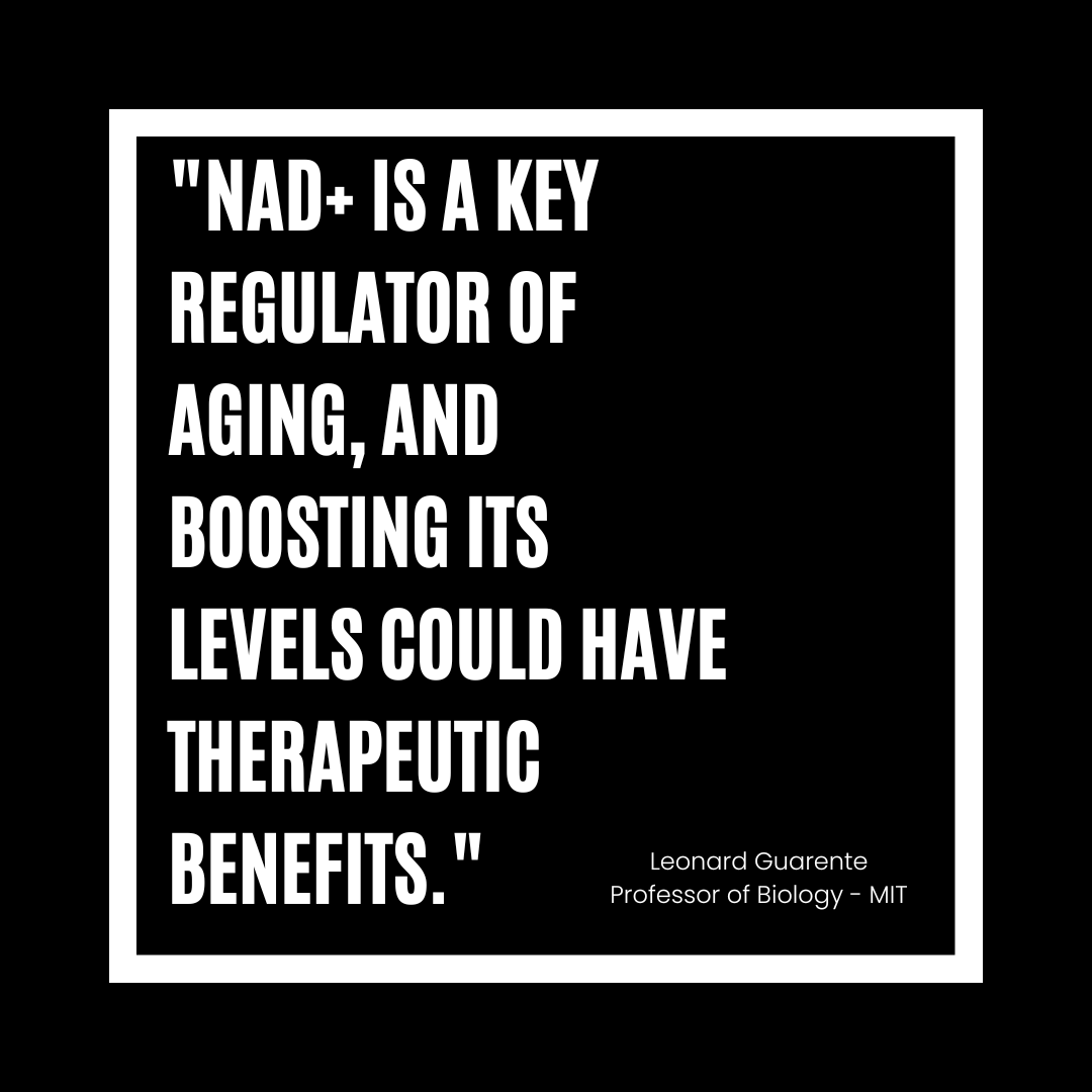 Pure NMN Supplement | High Purity