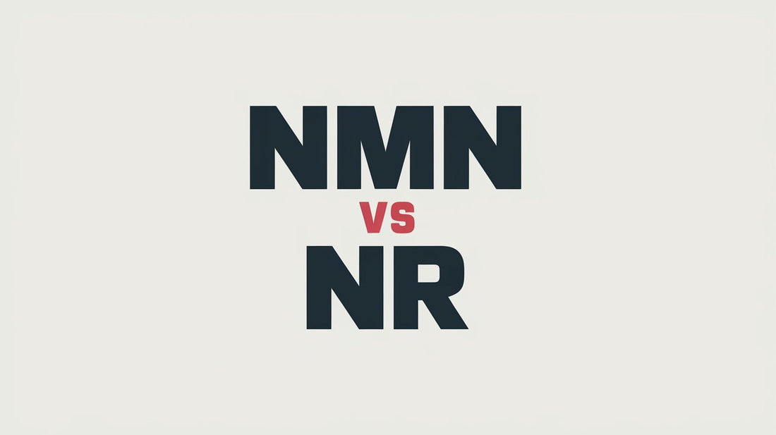 NMN vs NR: Which NAD Precursor is Better for Increasing Levels and Supporting Longevity?