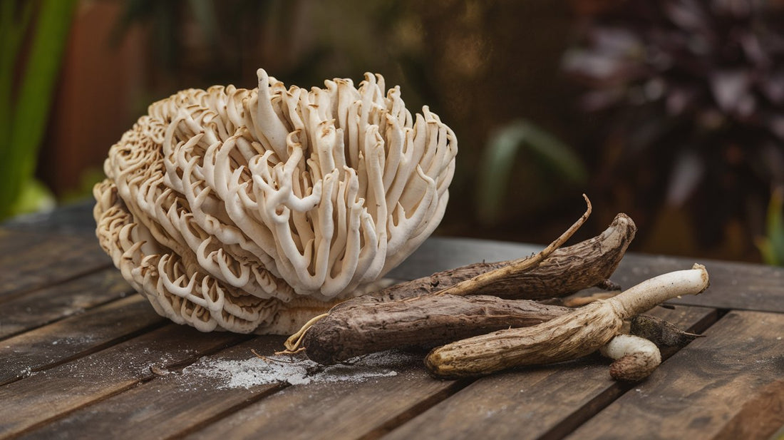 Lions Mane and Ashwagandha: Do They Work together?