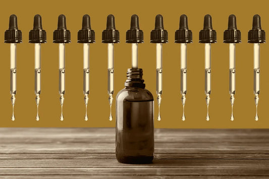 The Truth About Mushroom Tinctures: Are They Worth It?