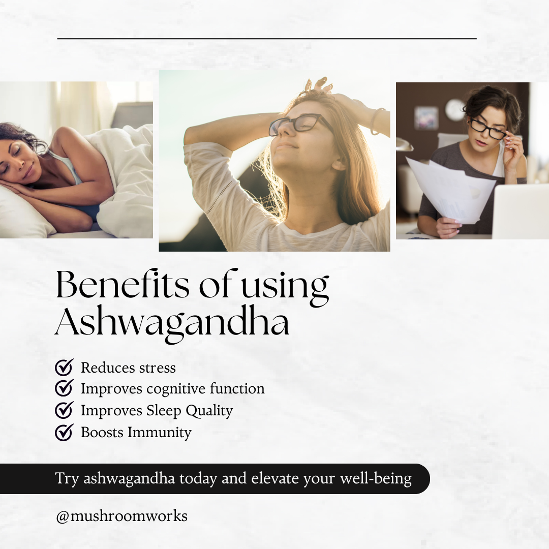 Premium Ashwagandha Gummies - 60 Gummies